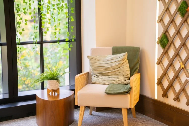 Hanging plant in window