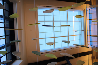 Leaves falling from the ceiling