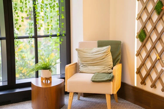 Hanging plant in window